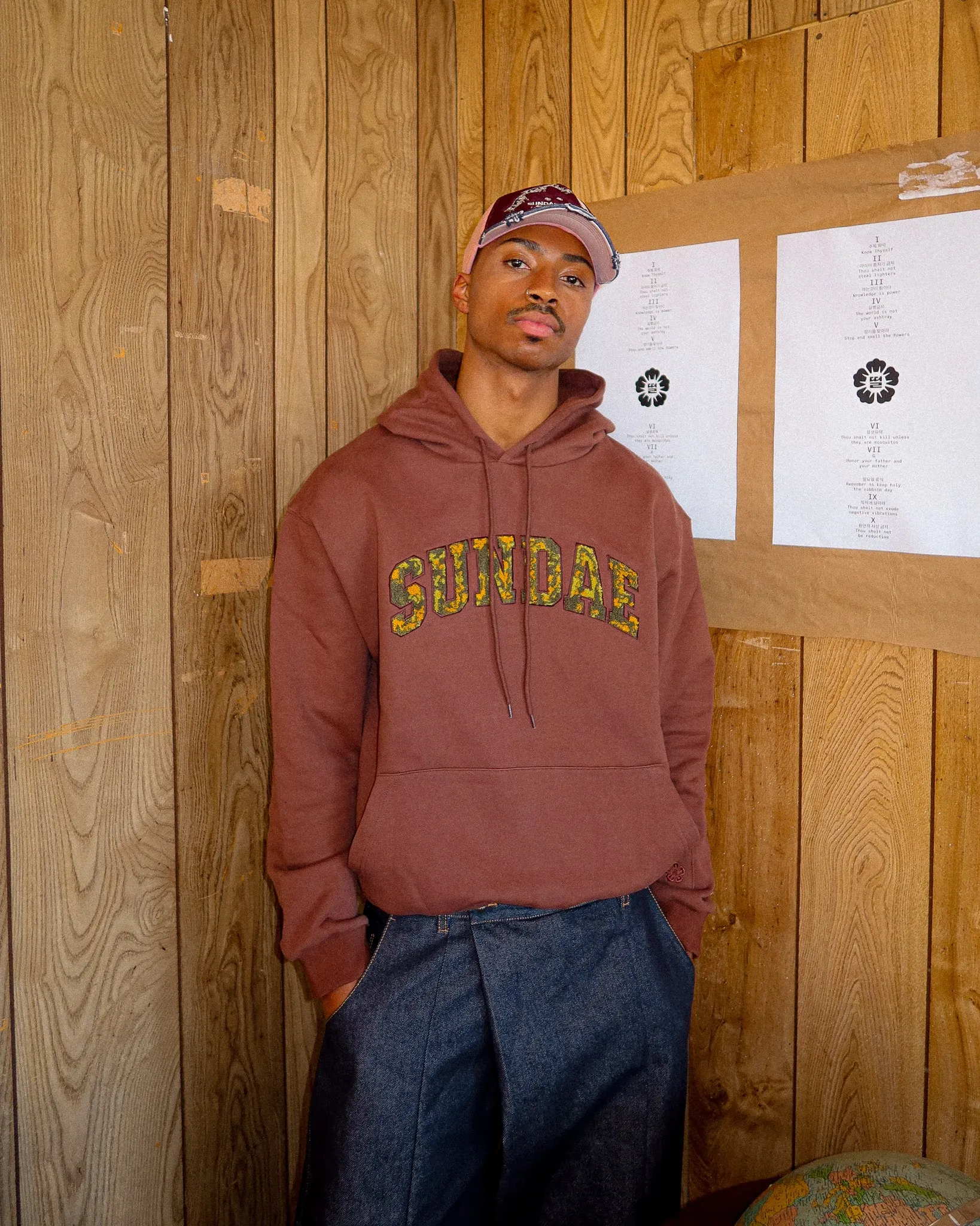 Boba Brown Chenille Arch Hoodie