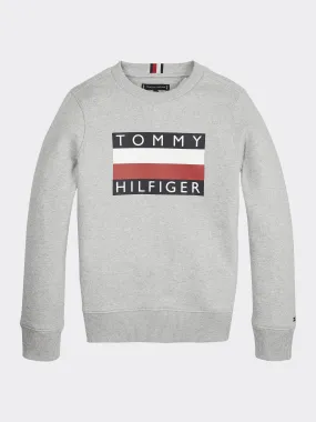 Boys Logo Crew Neck Sweatshirt | Hoodies | Tommy Hilfiger