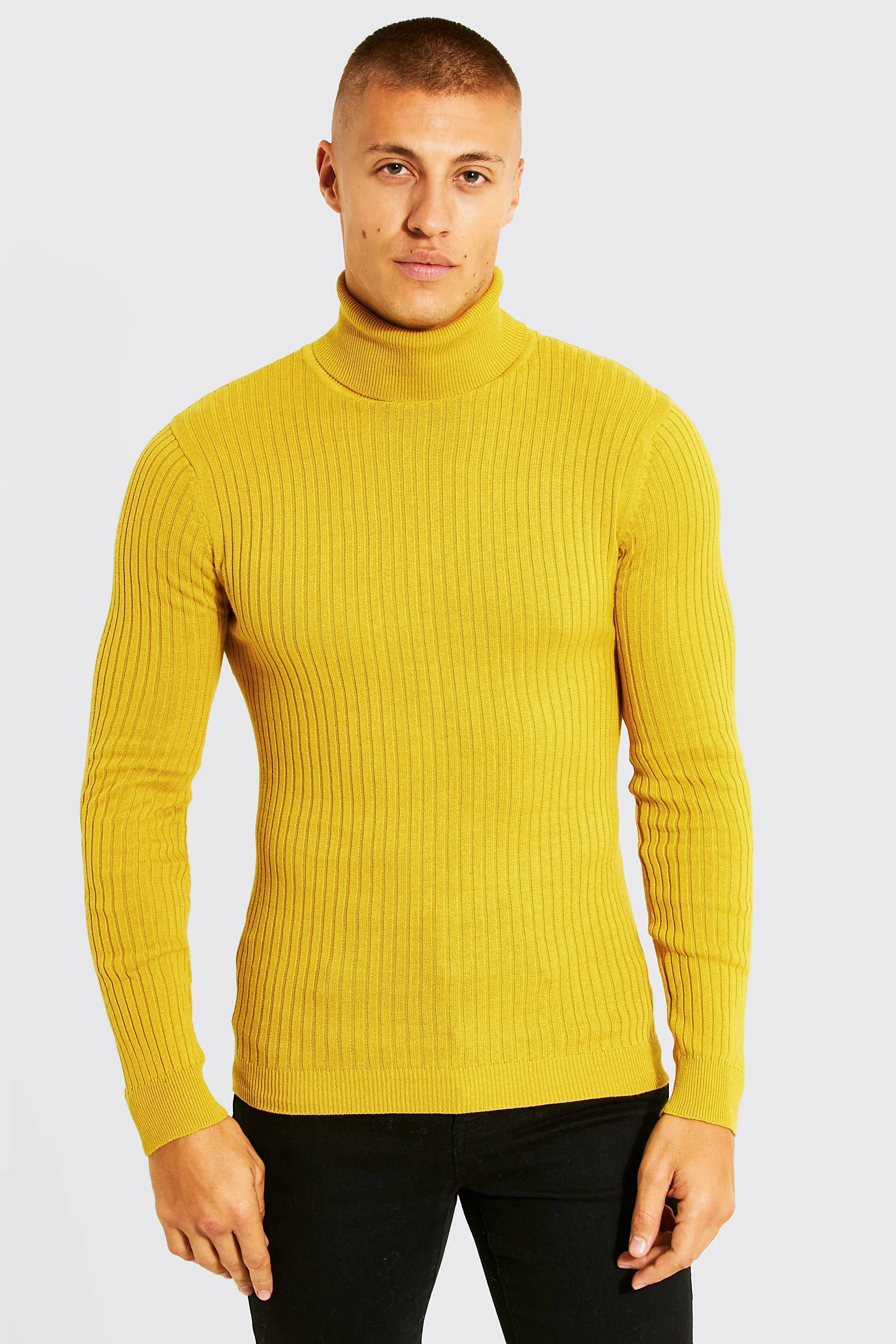 Regular Fit Ribbed Knit Roll Neck Jumper | boohooMAN UK