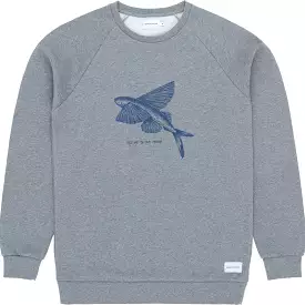 Sweat Bask in the Sun ocean Flying fish Grey